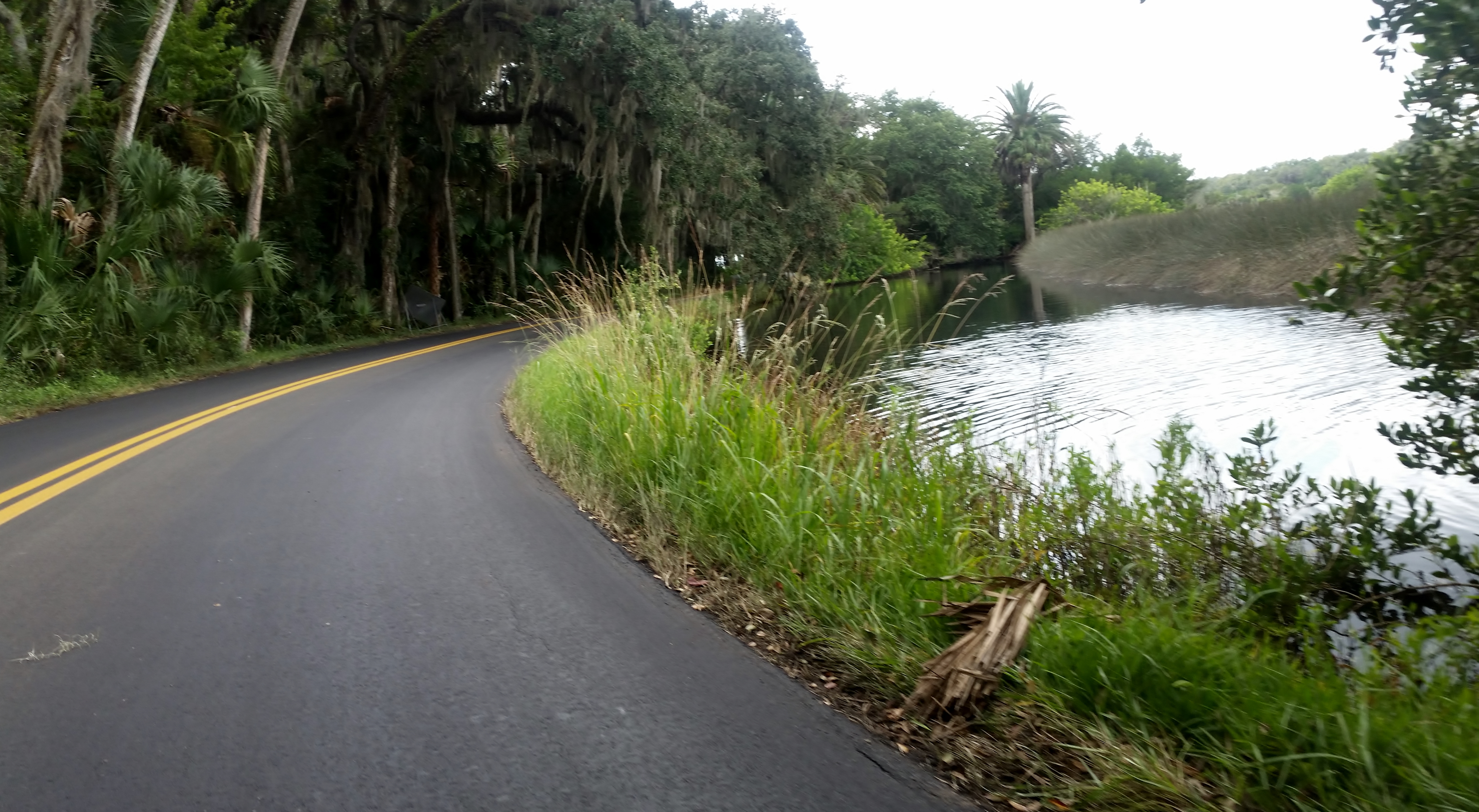 The roads are shaded with the canopies of the many trees along the sides