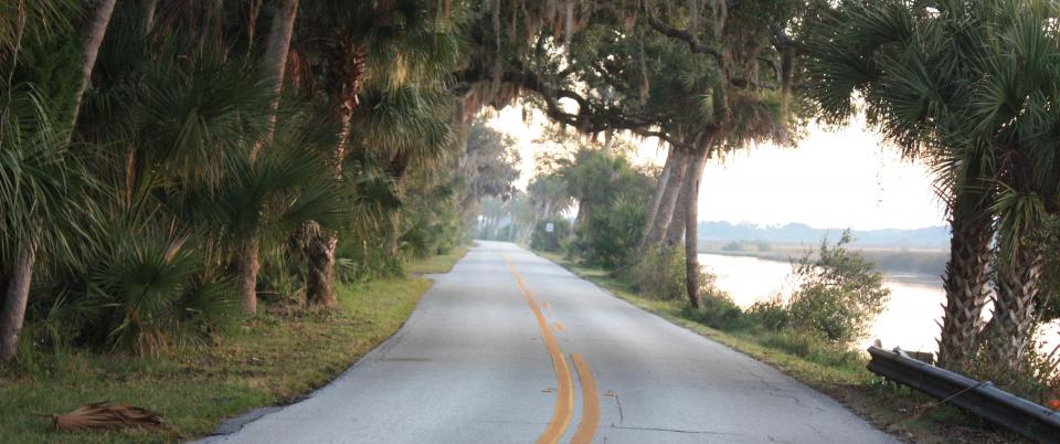 Very pretty roads past the protected wetlands in Bulow Creek State Park