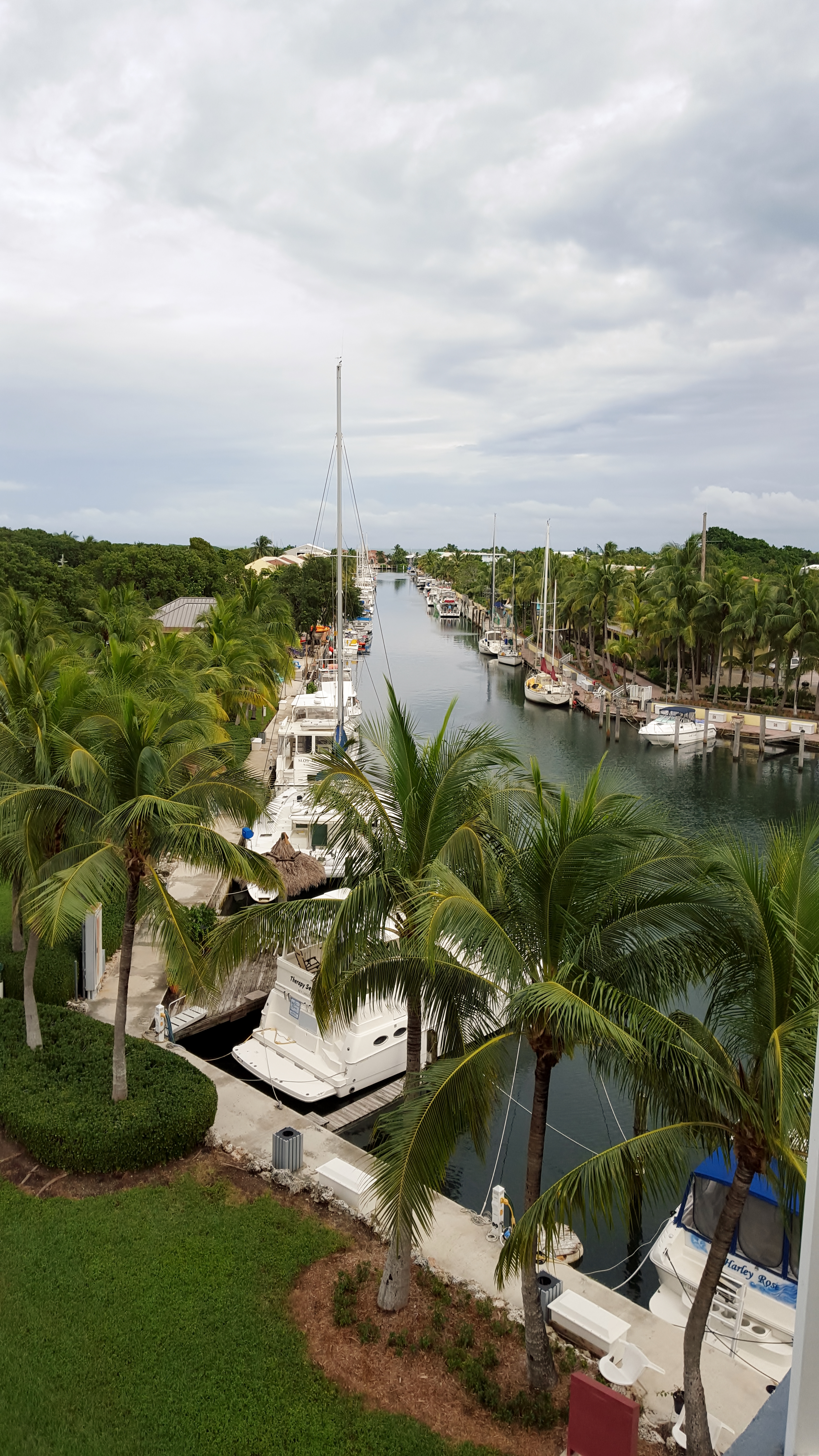 The view from our room at the Marriott Courtyard in Key Largo