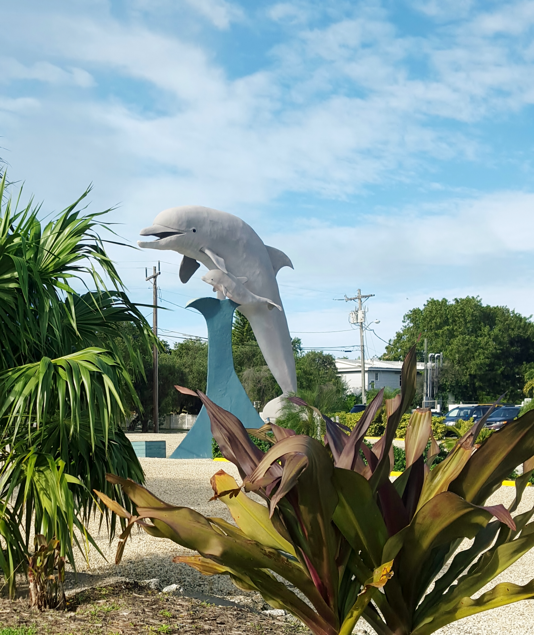 Big plastic dolphin beckons tourists 