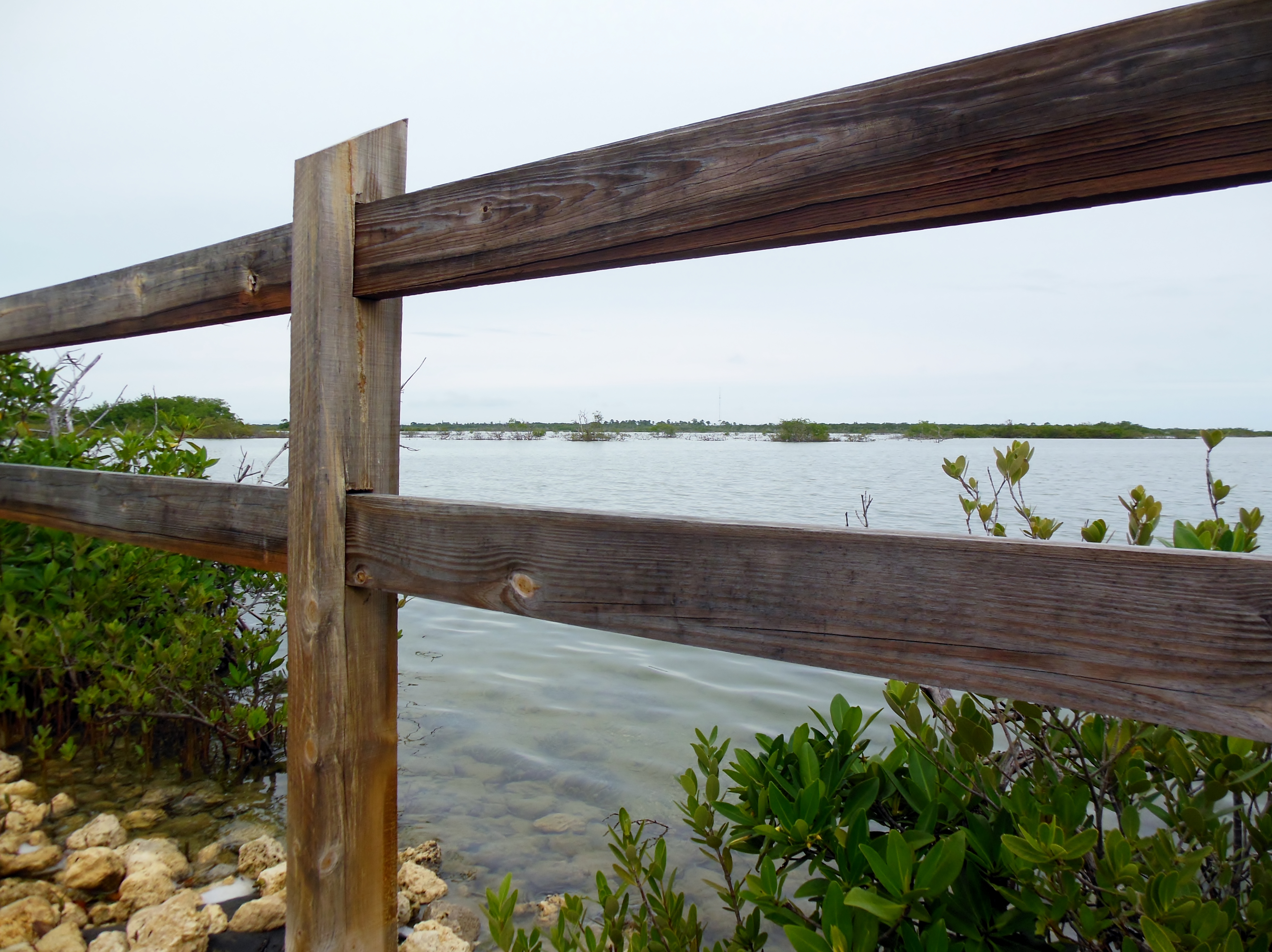 Pretty water views in Summerland Key