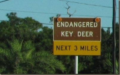 Vehicle strikes are the leading cause of Key Deer deaths in the preserve