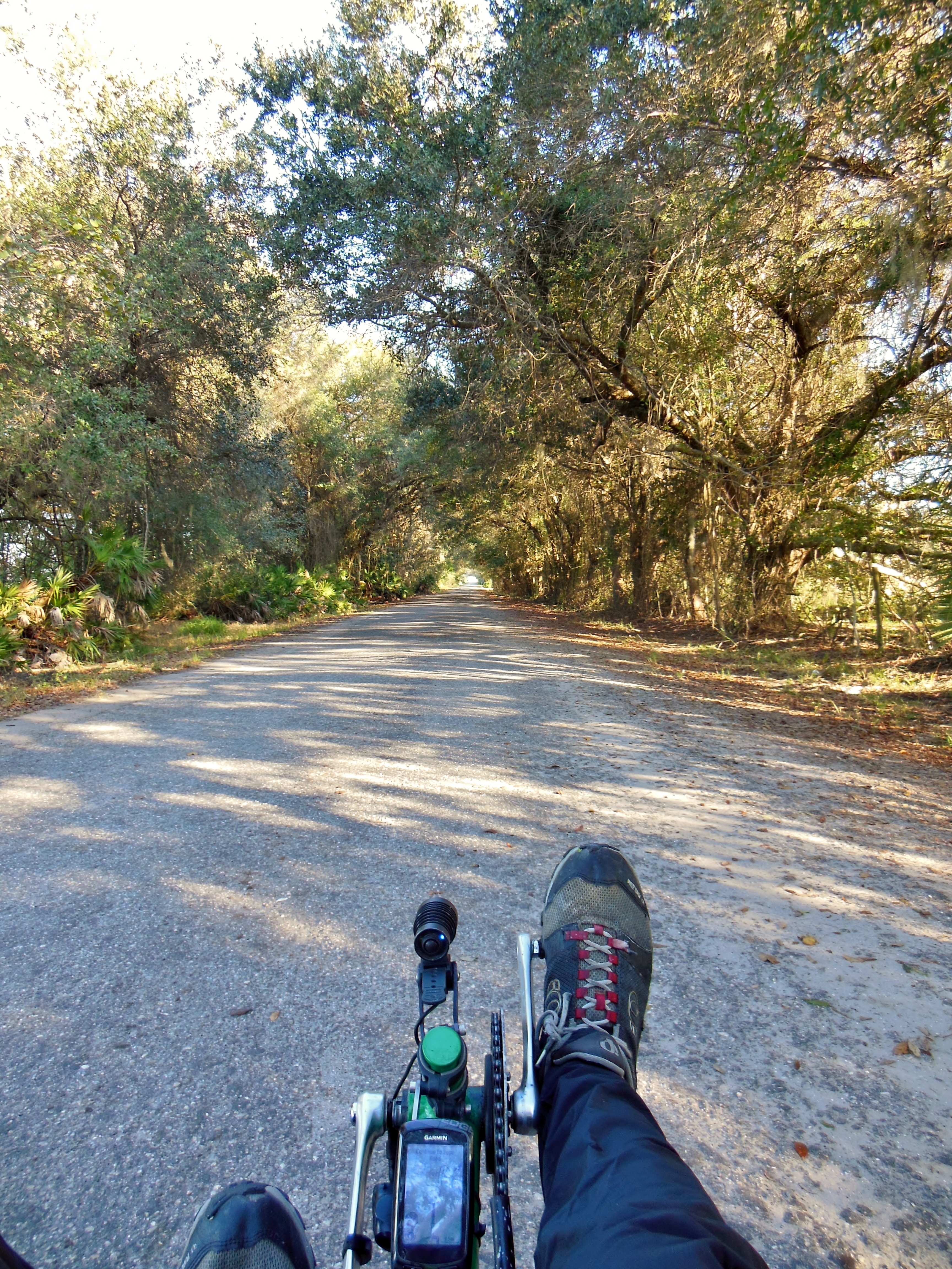 Pope Road is a beautiful, quiet, shady residential street. But not the best road surface for high speed road bikes