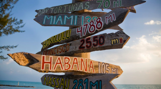 Hankering For A Cheeseburger in Paradise?