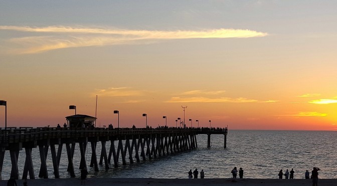 Fins at Sharky’s on the pier in Venice, Florida