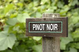 We love Pinot Noir (part 2)