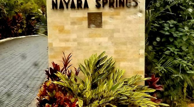 PARADISE FOUND: Nayara Springs Resort:  (part 2)